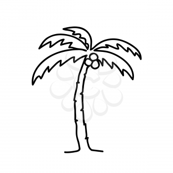Tropical palm tree vector line icon. Coconut tree with nuts. Continuous line art vector illustration