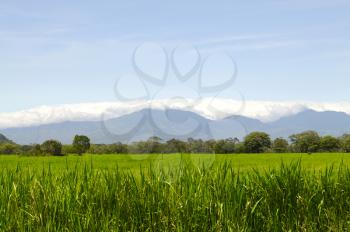 Beautiful green grass field with a bright blue sky and mountains with white clouds in the background