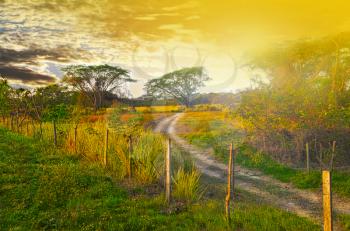 A rural country  road with a beautiful sunrise in the backgrond