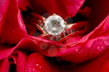 A diamond ring inside a red rose