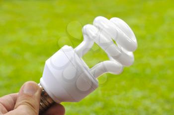 Hand holding a fluorescent light bulb against a green background


