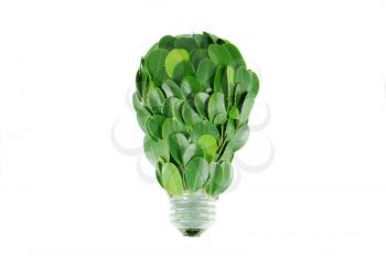 Light bulb covered with green leaves, ecology concept