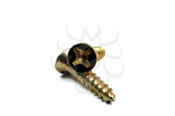 Two small golden screws isolated on white