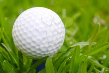 Macro shot of a golf ball on lush green grass