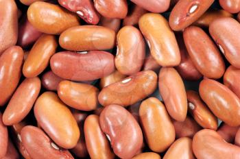 Macro shot of kidney beans