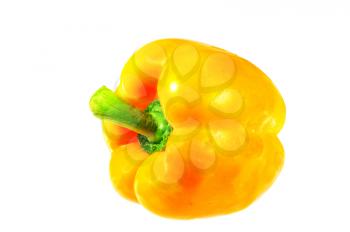 Single yellow-orange bell pepper isolated on white 