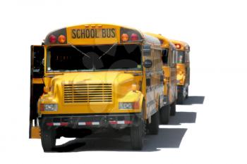 School Buses on a white background