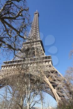 The Eiffel Tower from a non traditional angle with some tree branches in front and a  bright ble sky                              