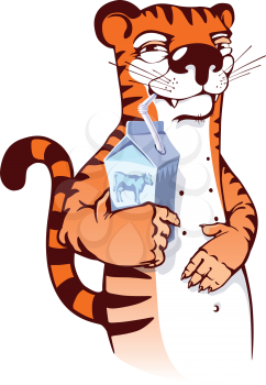 The sly cartoon tiger is drinking milk. Editable vector EPS v9.0.
