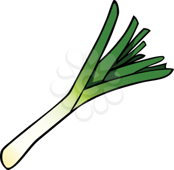 Royalty Free Clipart Image of a Leek