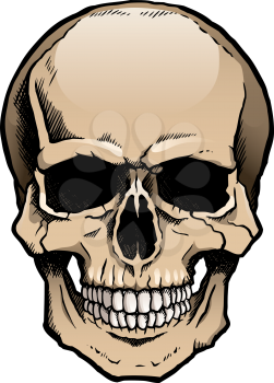 Royalty Free Clipart Image of a Skull