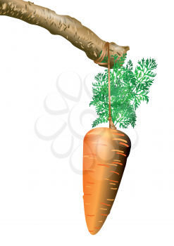 carrot on a rope. bait on a stick