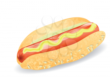 hot dog isolated on the white background