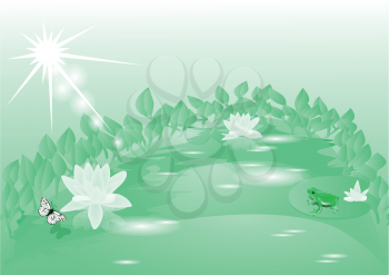 morning on the lake with blooming lotuses
