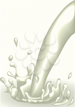 pouring milk isolated on the white background