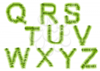 grass letters Q, R, S, T, U, V, W, X, Y, Z isolated o a white background
