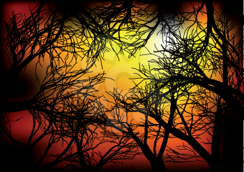 dark woods. abstract dark background. 10 EPS