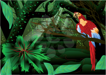 Amazon forest. Colorful jungle landscape. 10 EPS