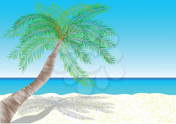 bahamas. tropical white sand beach. 10 EPS