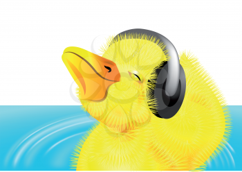 duckling with headphones on her head