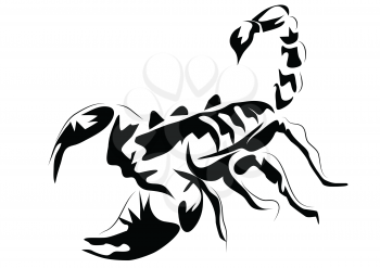 scorpion. outline animal isolated on white background