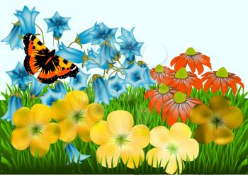 garden. flowers, green grass and butterfly against a blue sky