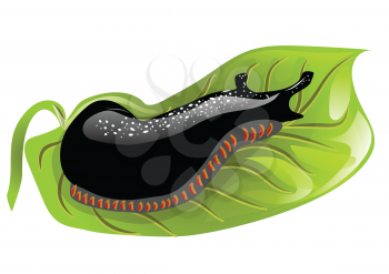 black slugs on a green leaf. 10 EPS