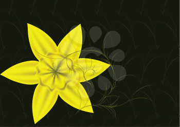 daffodils in a garden. abstract flower on floral background
