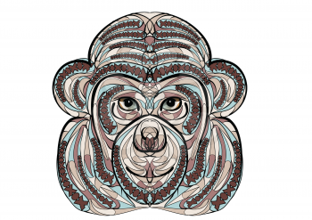 ethnic monkey isolated on a white background