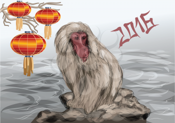 chinese new year. monkey on stone and cinese lantern