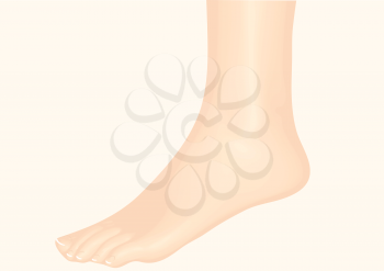 ankle. female leg isolated on biege background