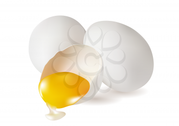 Eggs. three white eggs isolted on white background