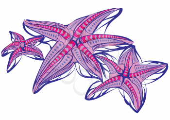 starfish illustration isolated on a white background