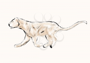 lioness hunting. Vector image of an female lion on beige background.