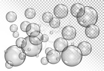 bubbles on transparent background. vector soap water bubbles