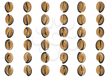 coffee beans set isolated on a white background