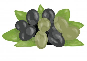 olives green and black isolated on white background