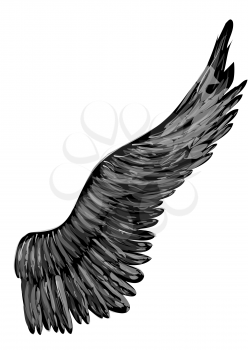 black abstract wing isolated on white background