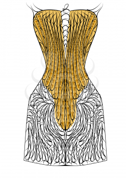 corset isolated on white background. 10 EPS