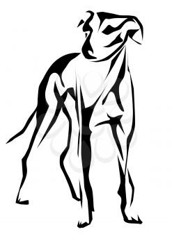 greyhound. abstract silhouette of dog on white background