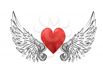heart and  wings isolated on white