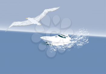 boat and albatross. white boat is racing on the sea