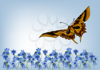 floral background with butterfly in blue sky