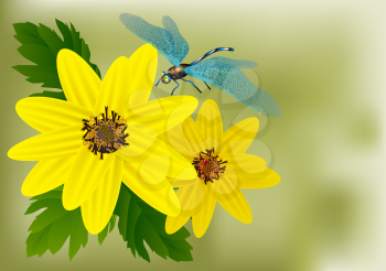 yellow flowers and dragonfly on green background