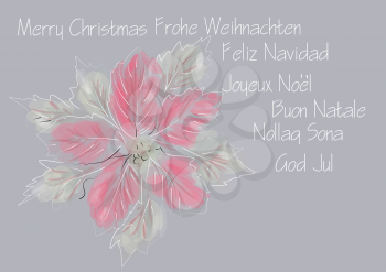 winter flower and christmas inscription