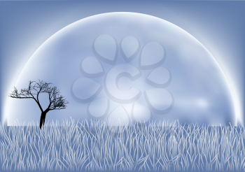 fool moon. tree in the night field and fool moon