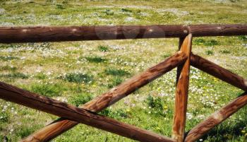 Meadow enclosed by a wooden fence