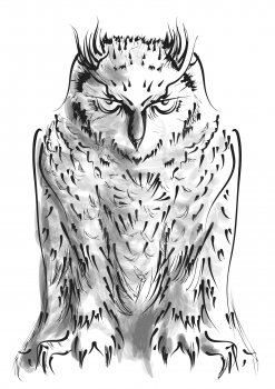 owl isolated on white background. vector illustration