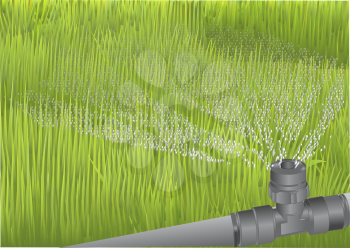 irrigation. sprinkler of automatic watering with abstract grops of water