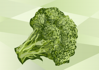 broccoli on green. broccoli abstract illustration. Healthy ecological green food